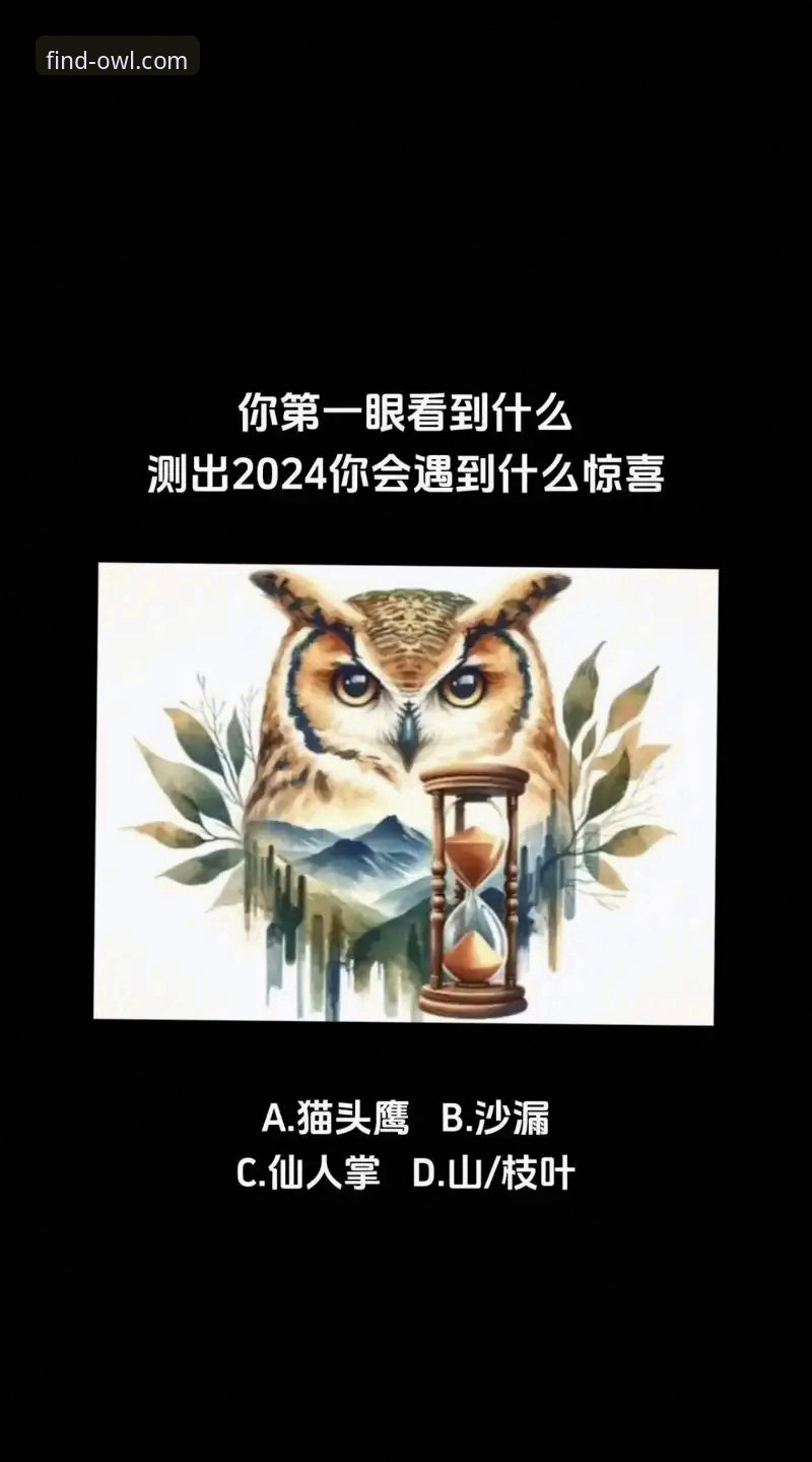 5个关键步骤，快速掌握猫头鹰体育2024版教程